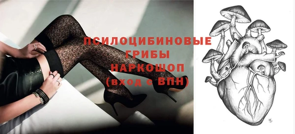 тгк Горнозаводск